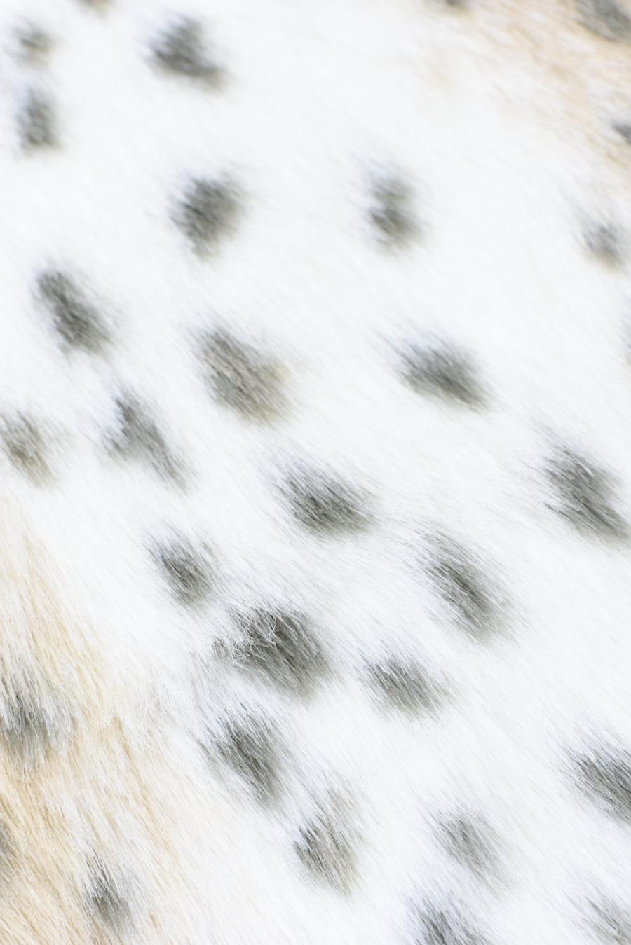 Tejido Pelo Corto Leopardo