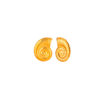 Pendientes Fosil