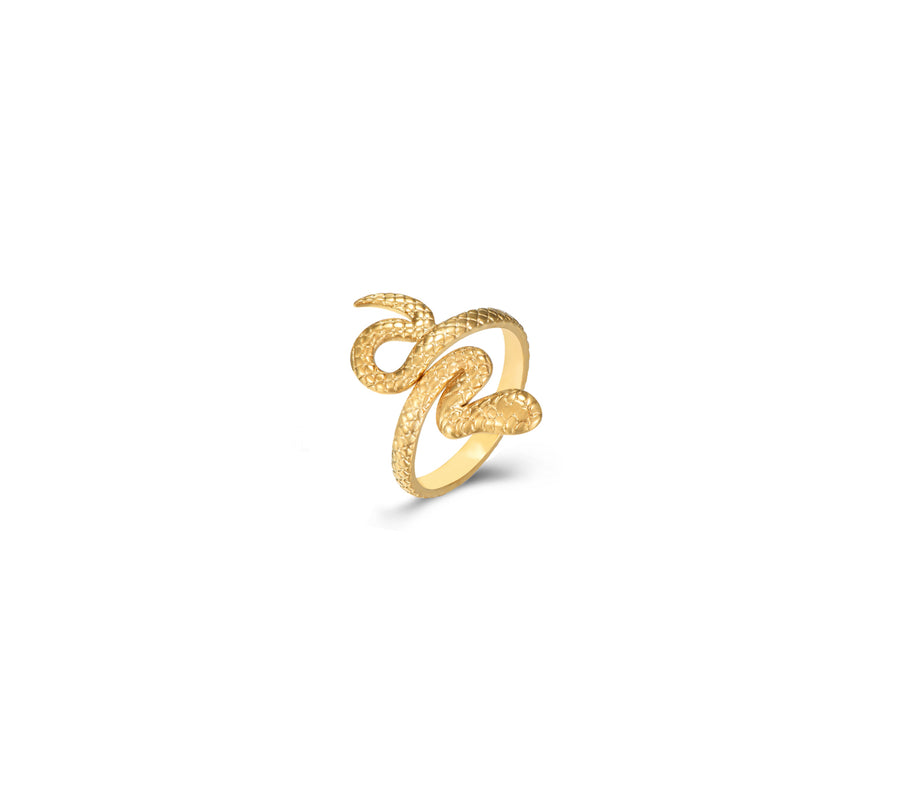 Anillo Serpiente 2