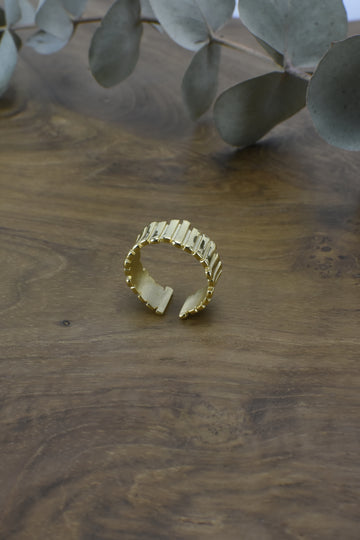 Anillo Acero Corona