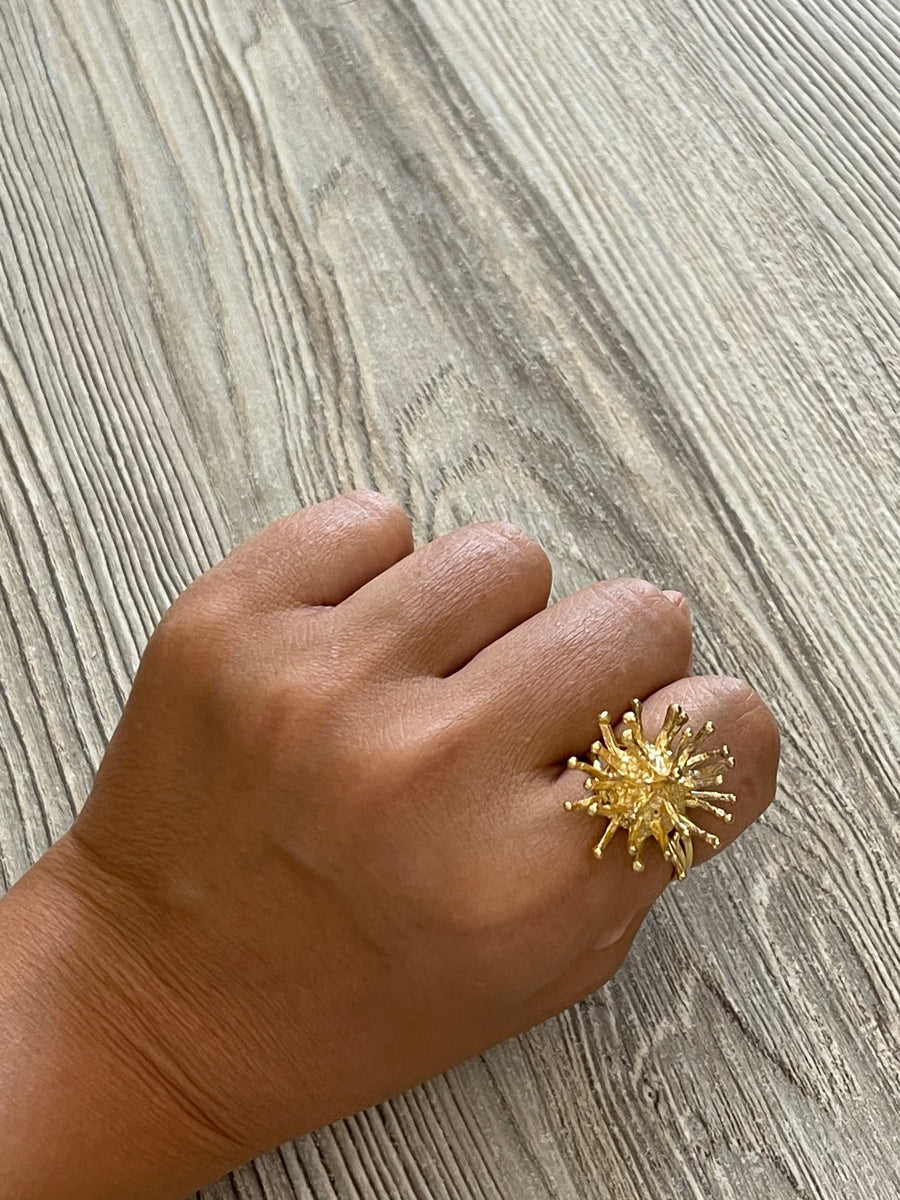 Anillo Erizo